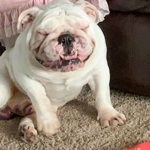 Meet your Posher, Kip